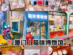 -猫咪博物馆(顶澳仔猫街店)
