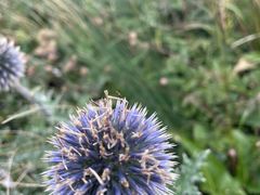 -白草畔自然风景区