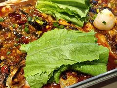 -鱼酷活鱼烤鱼(沈阳大悦城店)