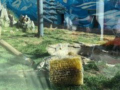 -青藏高原野生动物园