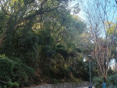 -牛岗山公园