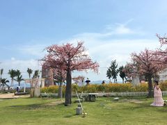 -玫瑰海岸文化旅游度假区