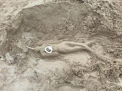 -青岛金沙滩