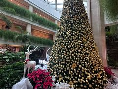 -白天鹅宾馆·流浮阁咖啡厅