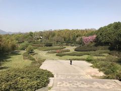 -宜兴龙背山森林公园
