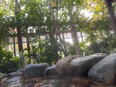 -张家港金凤凰度假村温泉