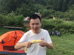 -武陵山森林公园
