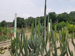 -东莞植物园