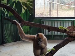 -杭州野生动物世界