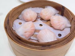 兴悦鲜虾饺-兴悦酒家(保利克洛维店)