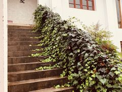 -大理床单厂艺术区
