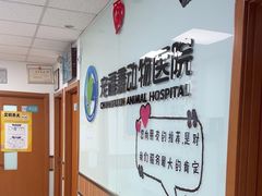 -宠福鑫动物医院(城北分院)