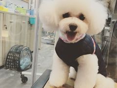 -PETKIT小佩宠物(古北店)