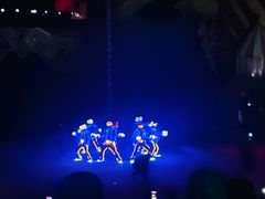 -珠海横琴长隆《卡卡虎奇遇记》