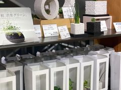 -池袋LOFT