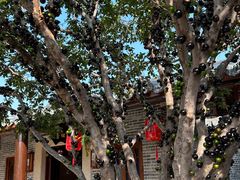 -顺德了能馆(虎门店)