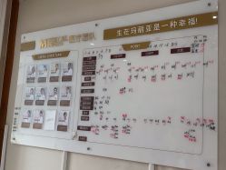 -武汉玛丽亚月子中心