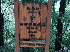 -湖州龙王山景区