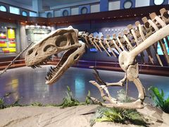 -自贡恐龙博物馆