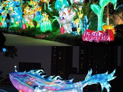 -海合安成都极地海洋公园