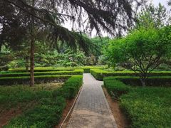 -黄村公园