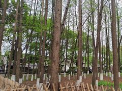 -乌镇东栅景区