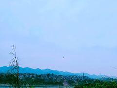 -金海湾滨江公园