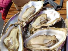 -蚝堡海鲜·威海菜·海肠捞饭·烧烤·亚洲吃蚝公司(幸福门店)
