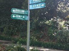 -紫金山山顶公园