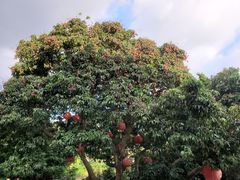 -顺风山庄(水濂山店)