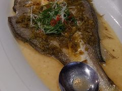 大黄鱼-麟1929(外滩店)