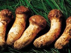 -象山村腊排骨(丽江总店)