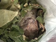-东山矮马桶羊肉(太湖东山店)