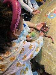 -酷嗒动物文化乐园(cutezoo西溪乐天城店)