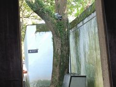 -绍兴鲁迅故里·沈园景区