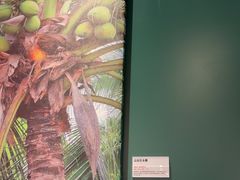 -烹然四季椰子鸡火锅(姚家园万象汇店)