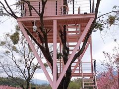 -福建鲤鱼洲酒店