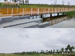 -春花秋色城市公园