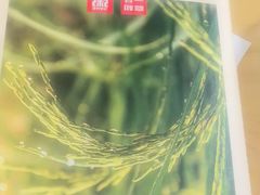 -嘉和一品粥(魏公村店)