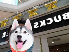 -星巴克(广州中华广场B1层店)