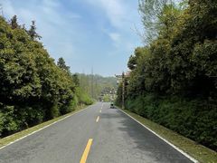 -宜兴龙背山森林公园