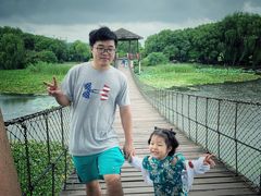 -荷塘月色湿地公园·向阳花洲