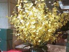 -顺峰·粤菜海鲜·早茶自助(阜成店)