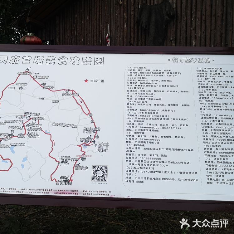 一场说走就走的金黄之旅