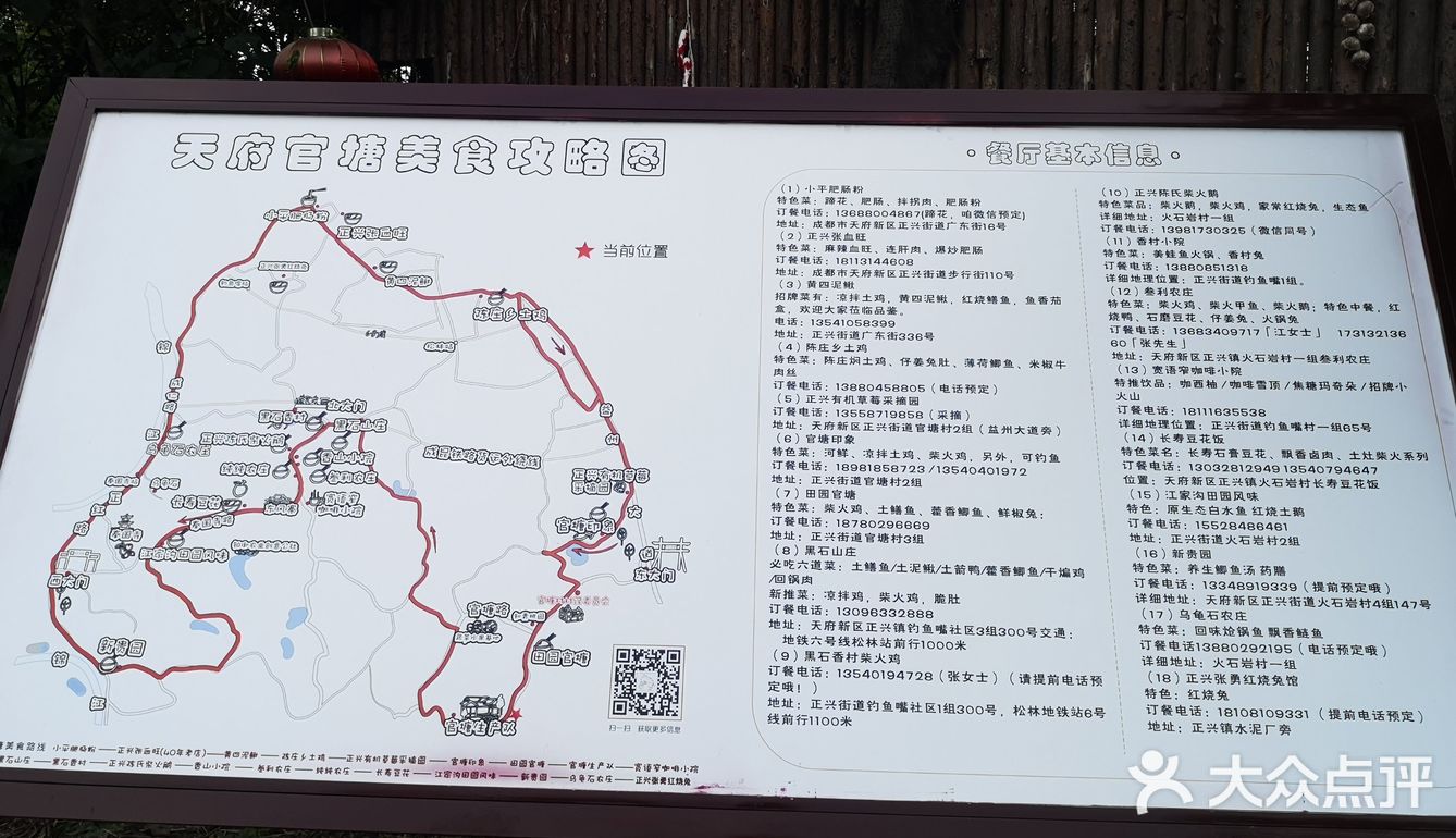 一场说走就走的金黄之旅