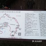 一场说走就走的金黄之旅