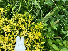 -三鹰之森吉卜力美术馆