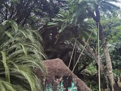 -深圳仙湖植物园