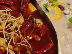 -麻田会 ·鲜活现烹·牛蛙火锅(珠江新城维家思广场店)