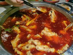 -蜀滋香鲜鱼美蛙火锅(339店)